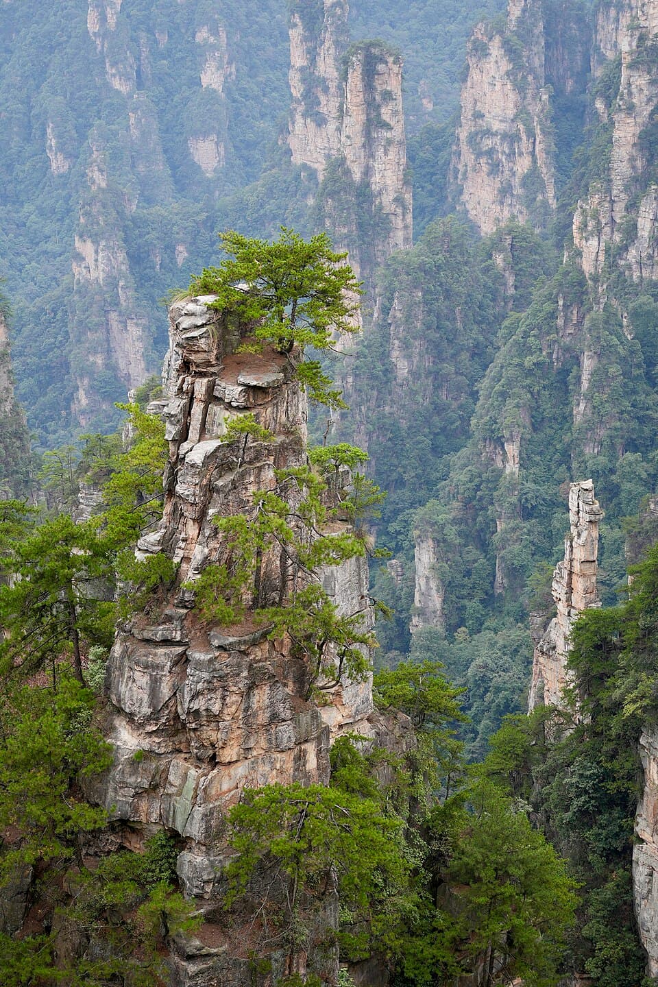 Tall sandstone pillars in Zhangjiajie National Forest Park